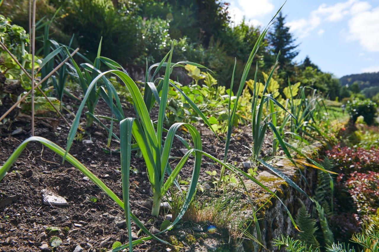 The Conscious Farmer Sauerland * Willingen (Upland)