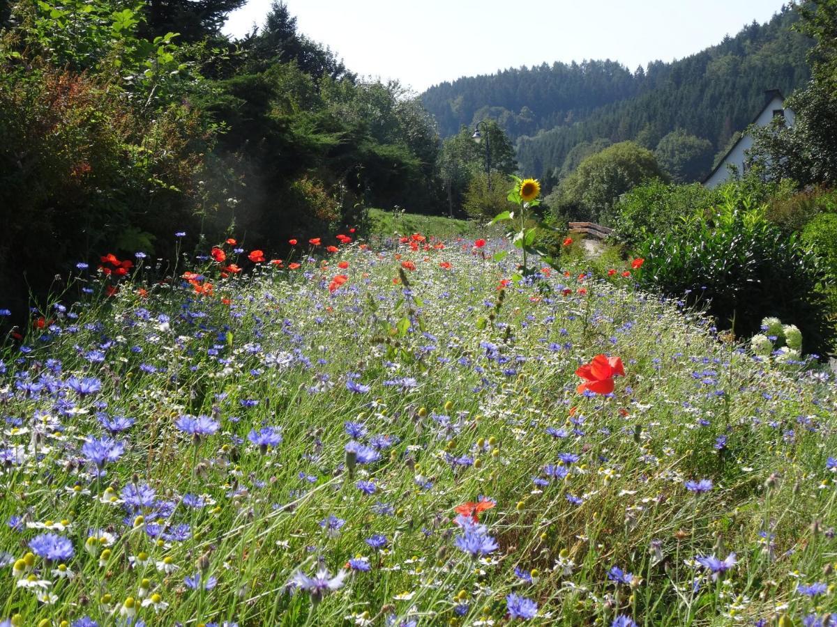 Guest house The Conscious Farmer Sauerland Willingen (Upland)