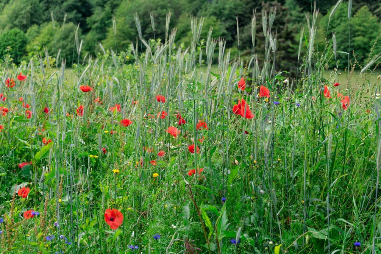 The Conscious Farmer Sauerland Willingen (Upland)